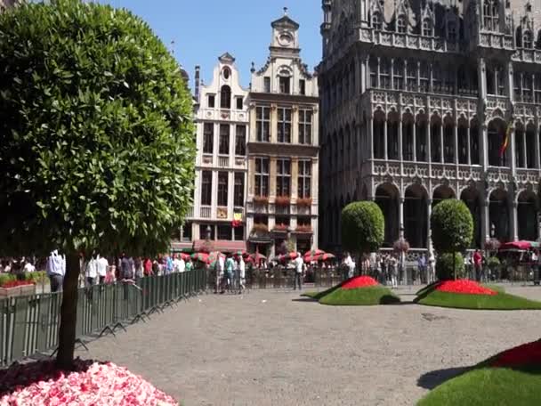 "Floraliëntime" flower show at the Grand Place in Brussels — Stok video