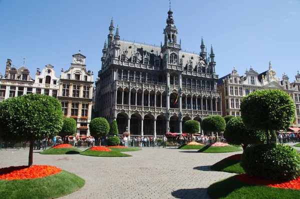 Pokaż kwiat w grand place w Brukseli — Zdjęcie stockowe