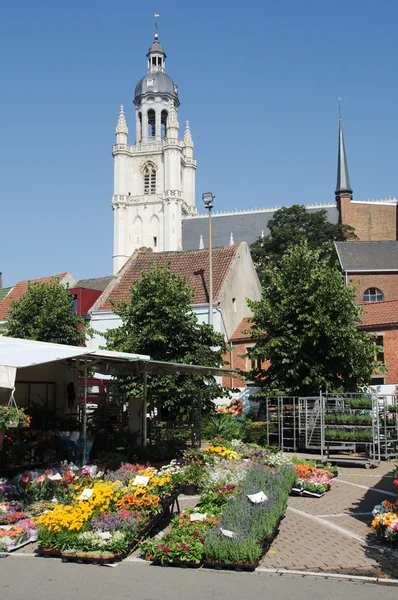 Blomstermarknaden framför basilicus st martin, halle — Stockfoto