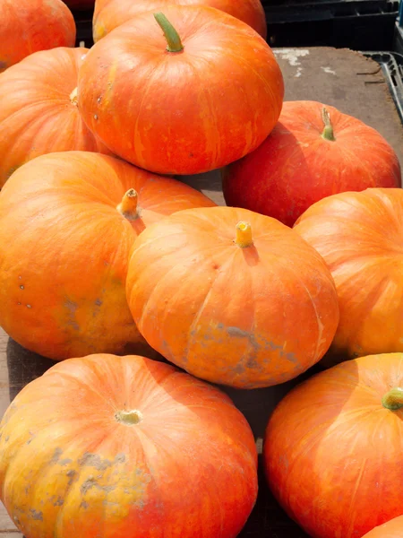 Pompoenen op een markt — Stockfoto