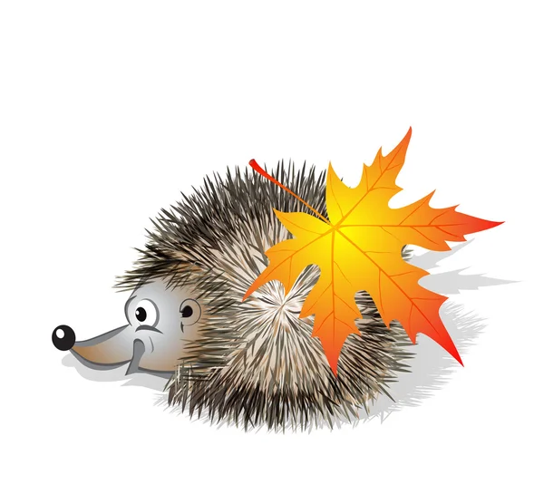 Cheerful hedgehog — Stock Vector