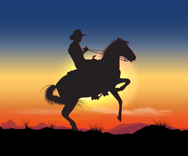 Cowboy nuit — Image vectorielle