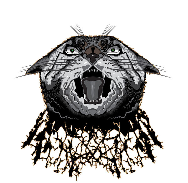 Head lynx