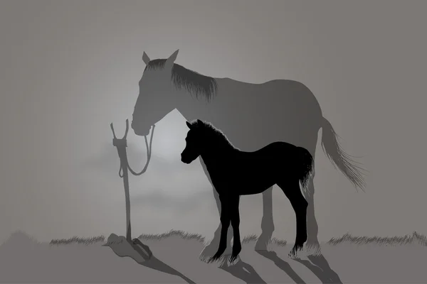 Zwei Pferde — Stockvektor