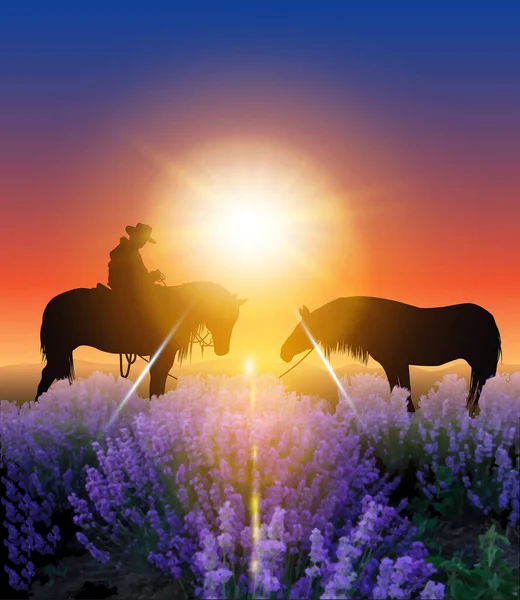 Australische Herder Lavendelvallei — Stockvector