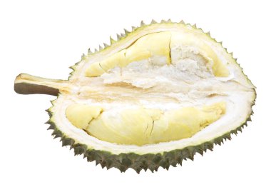 durian meyvesi beyaz arkaplanda izole