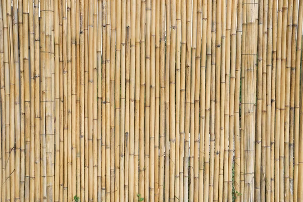 Bamboo Plank Fence Texture Naturel Background — ストック写真