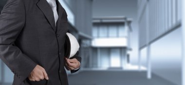 Business Architect and his modern house