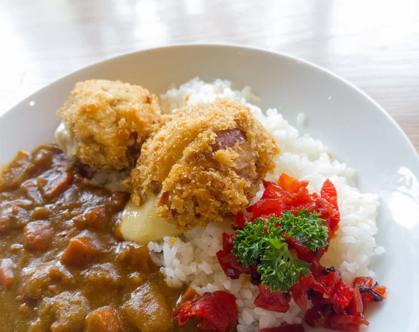 A rizs japán stílusú curry — Stock Fotó