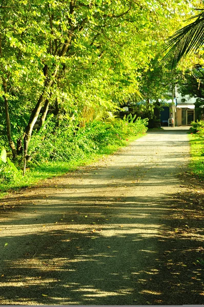 Pasarela en jardín — Foto de Stock