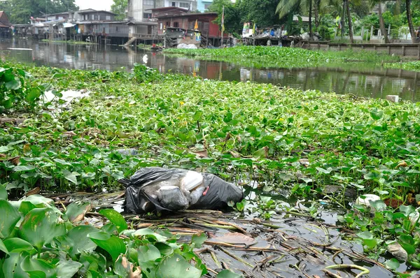 Пластиковый пакет и сорняки, плавающие в канале — стоковое фото
