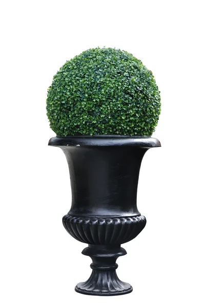 Modern plant pot — Stock Photo, Image