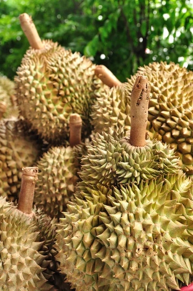 King of fruit fresh durians in market at Thailand — Stock Photo, Image