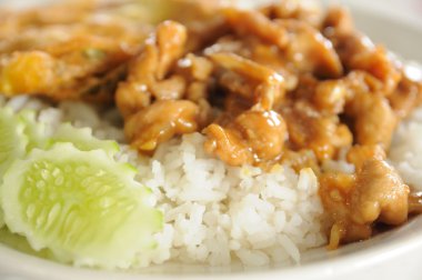 Tay gıda, omlet, domuz sarımsak ve biber ile.