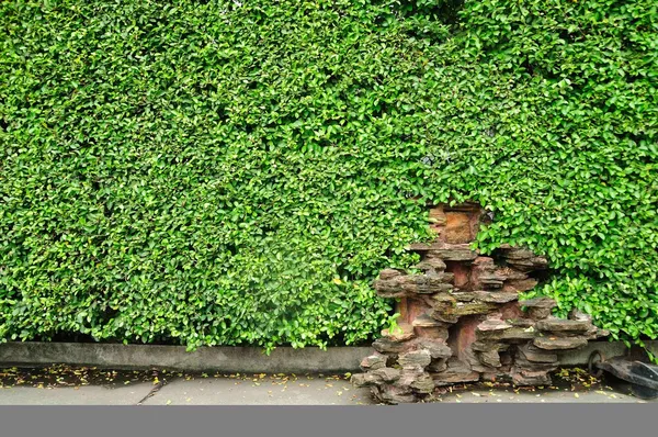 Grüne Pflanze Hintergrund und Pfahlstein. — Stockfoto