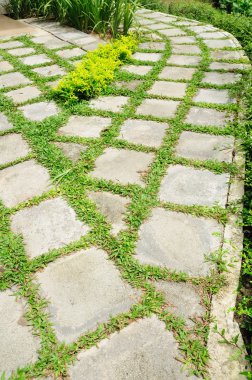 yürüyüş yolu ve bambu çit