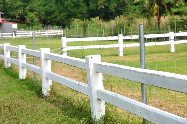 Long white fences — Stock Photo, Image