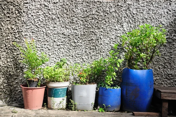 Viele Pflanztöpfe — Stockfoto