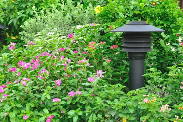 Electric pole in flowers garden — Stock Photo, Image