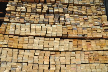 birçok kenar yönetim kurulu