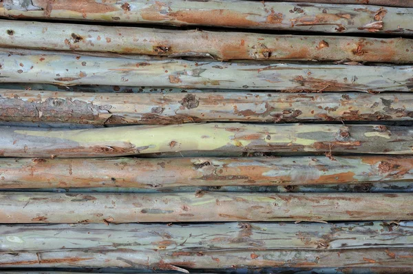 建築物の積層の木製のパイン材 — ストック写真
