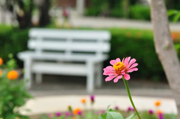 White bench in public garden — Stock Photo, Image