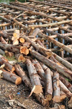 ahşap günlükleri nehir tarafında olmak.