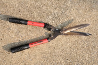 kullanılan bitkiler makas