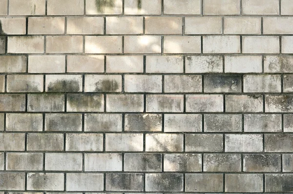 Ancient white brick wall — Stock Photo, Image