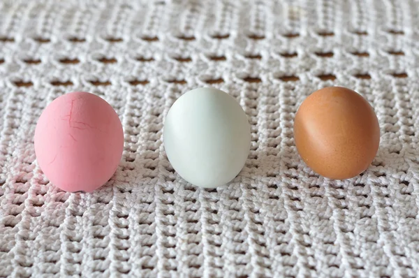 Three types of eggs — Stock Photo, Image