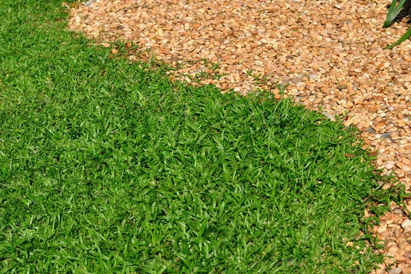 Grönt gräs och små sten avskiljs — Stockfoto