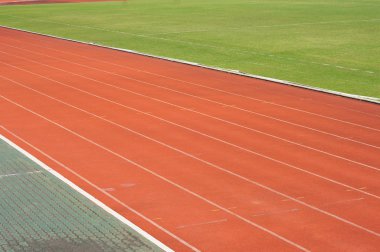 Beyaz ve yeşil bahçesinde turuncu racecourse