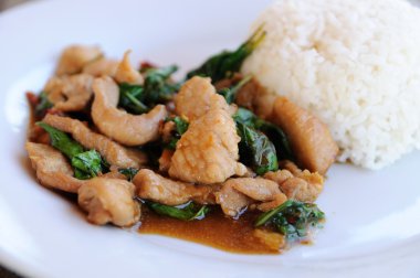 Yasemin pirinç kutsal Fesleğenli kızarmış tavuk.