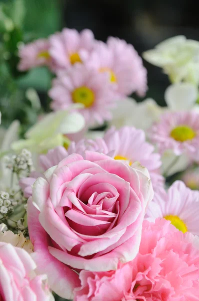 Roze en witte rozen. — Stockfoto