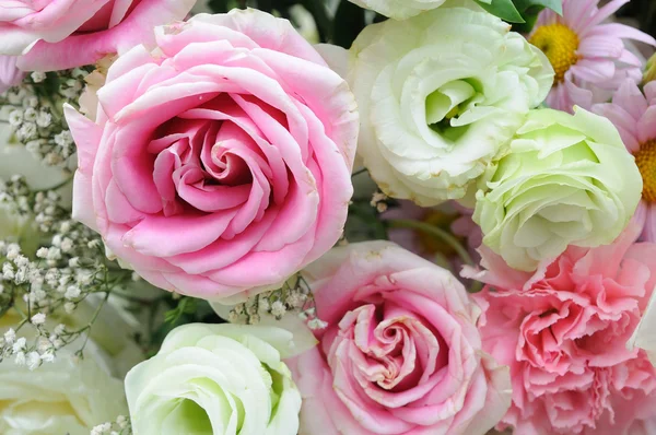 Roze en witte rozen. — Stockfoto