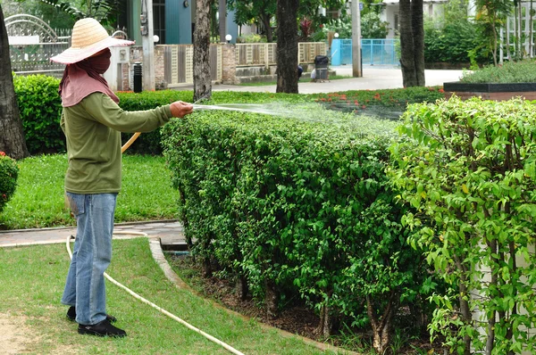 Giardiniere fanno irrigazione delle piante — Foto Stock