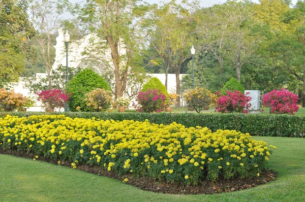 Flores no jardim público — Fotografia de Stock