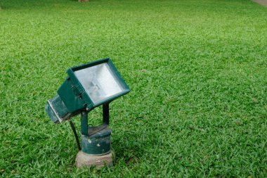 Spot-yeşil çimen ışık