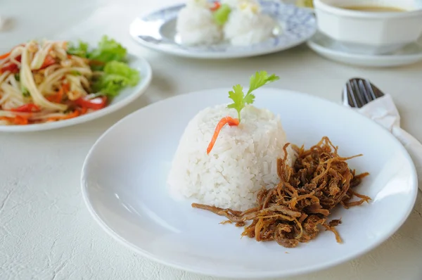 Porco desfiado com arroz de jasmim e salada de mamoeiro verde — Fotografia de Stock