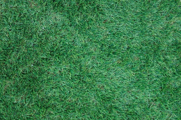 Grönt gräs för bakgrund — Stockfoto