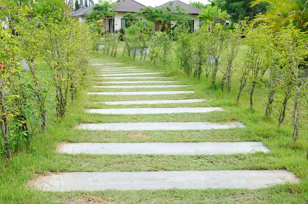 Indah berjalan-jalan melalui ke taman — Stok Foto