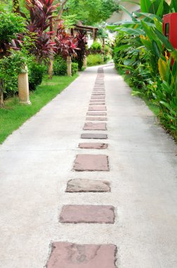 Yürüyüş-yol