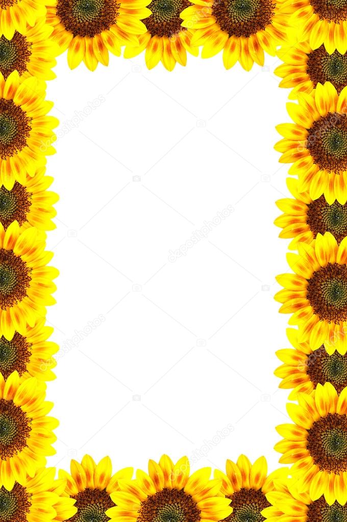 Sun-flower frame