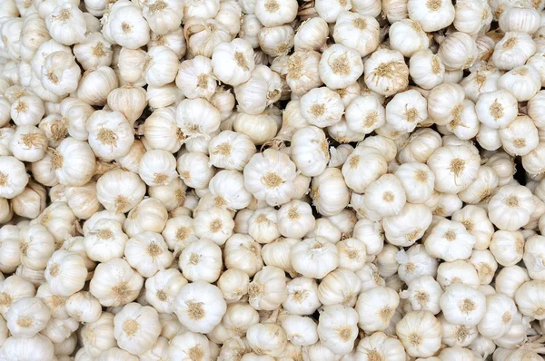 Stack of white garlic — Stock Photo, Image