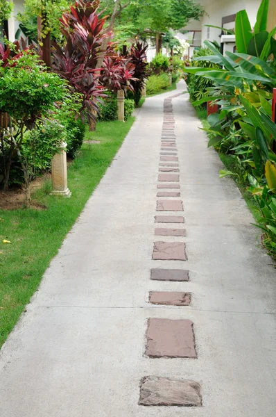 Caminhada bonita — Fotografia de Stock