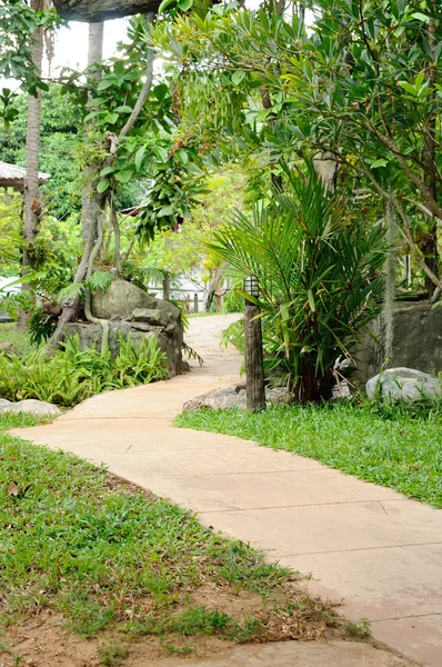 Camino en el parque — Foto de Stock