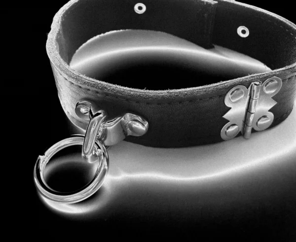 Bdsm collar — Stock Photo, Image