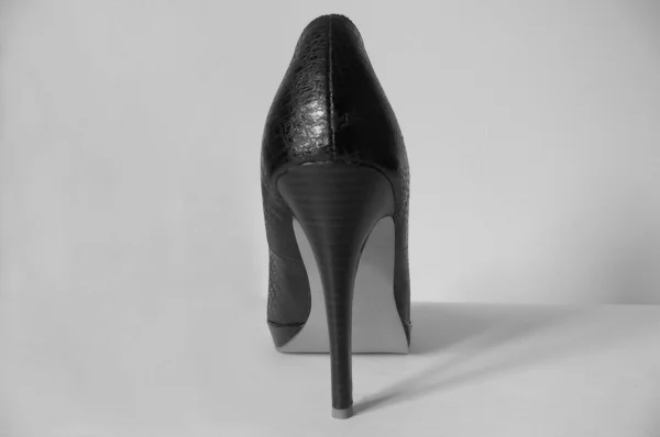 Stiletto ayakkabı üzerine beyaz — Stok fotoğraf