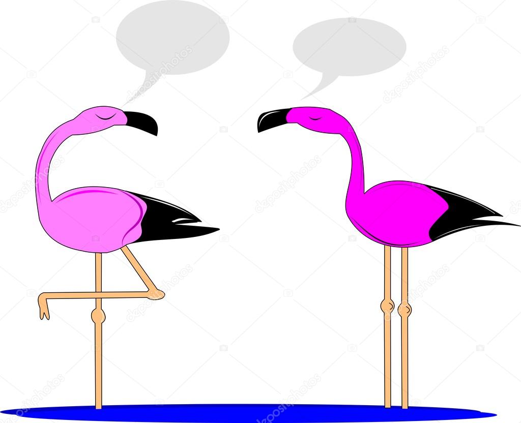 Flamingos over white