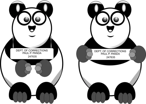 IIllustration - busted panda mug shot — Stock Photo, Image